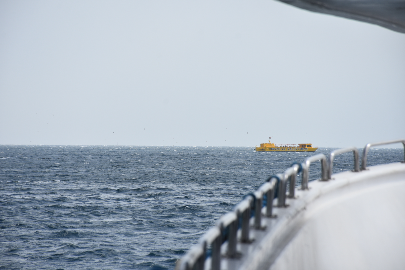 تعليم قواعد التصوير الفوتوغرافي الأساسيه